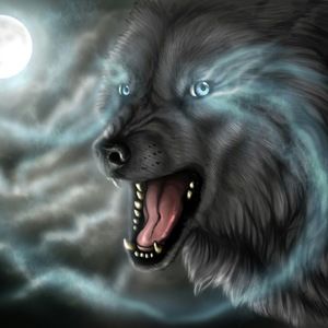 Meet your Posher, Douglas